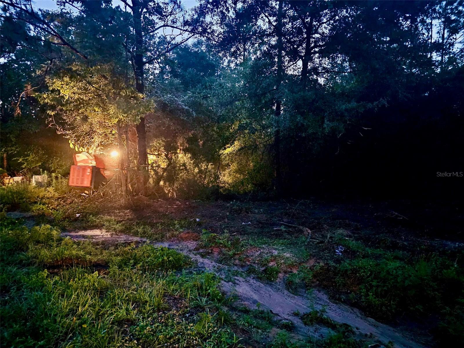 PINETREE LN, DEFUNIAK SPRINGS, FL, 32433