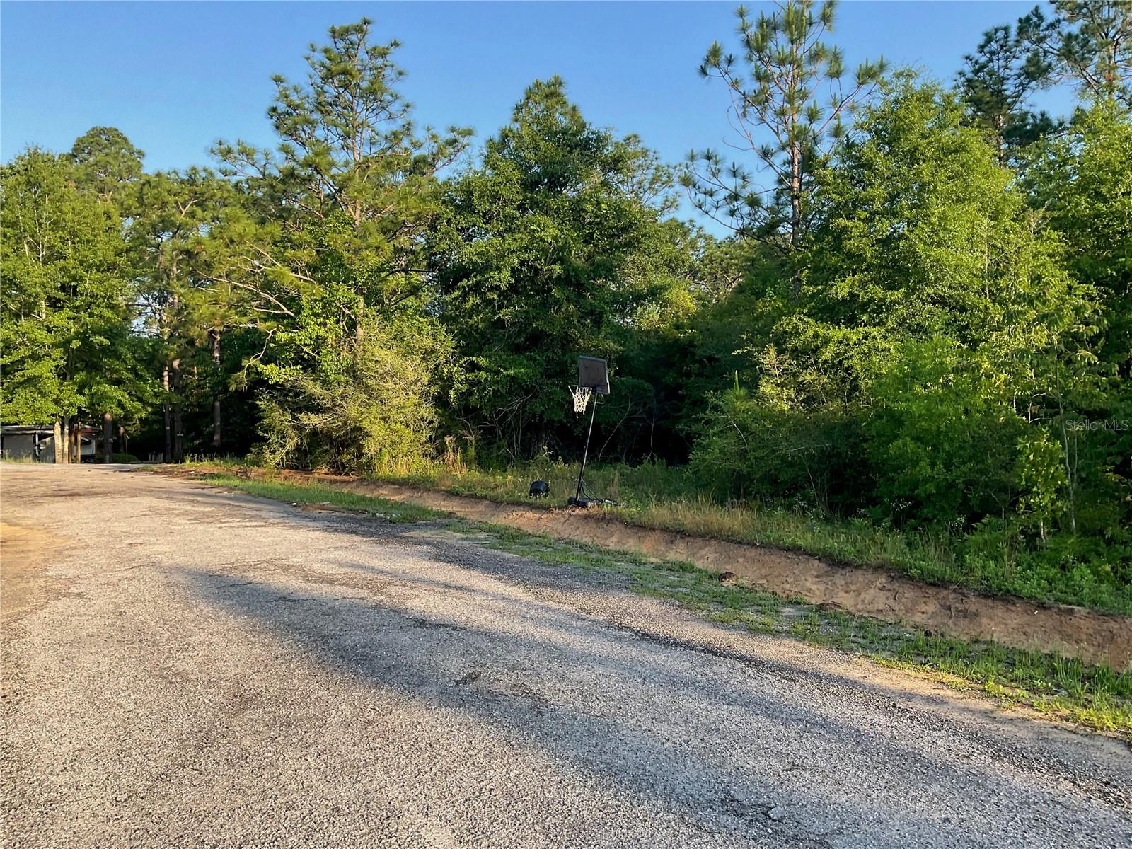 PINETREE LN, DEFUNIAK SPRINGS, FL, 32433