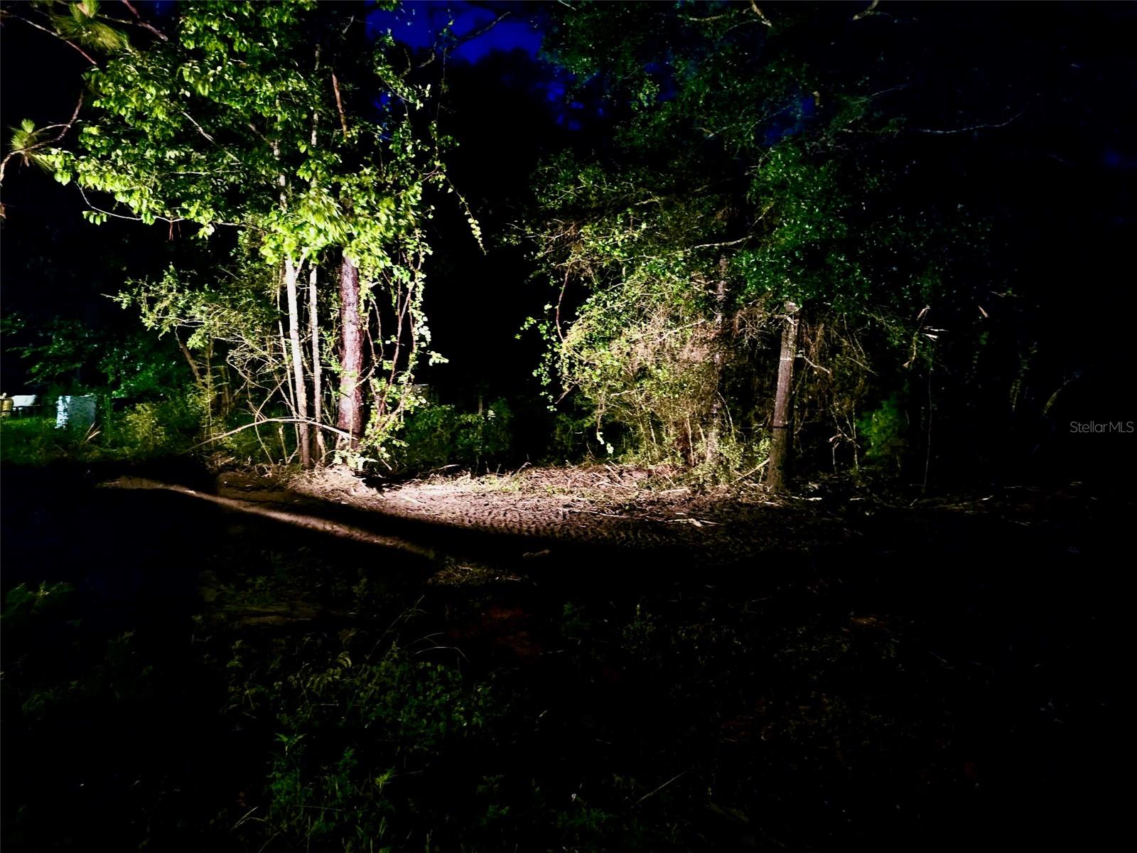 PINETREE LN, DEFUNIAK SPRINGS, FL, 32433