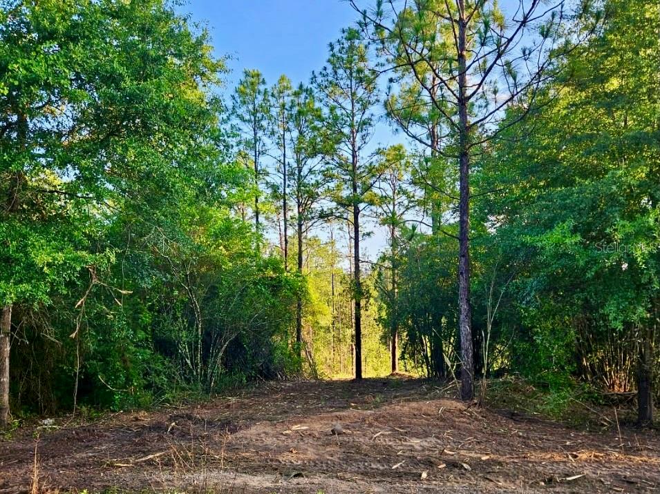 PINETREE LN, DEFUNIAK SPRINGS, FL, 32433