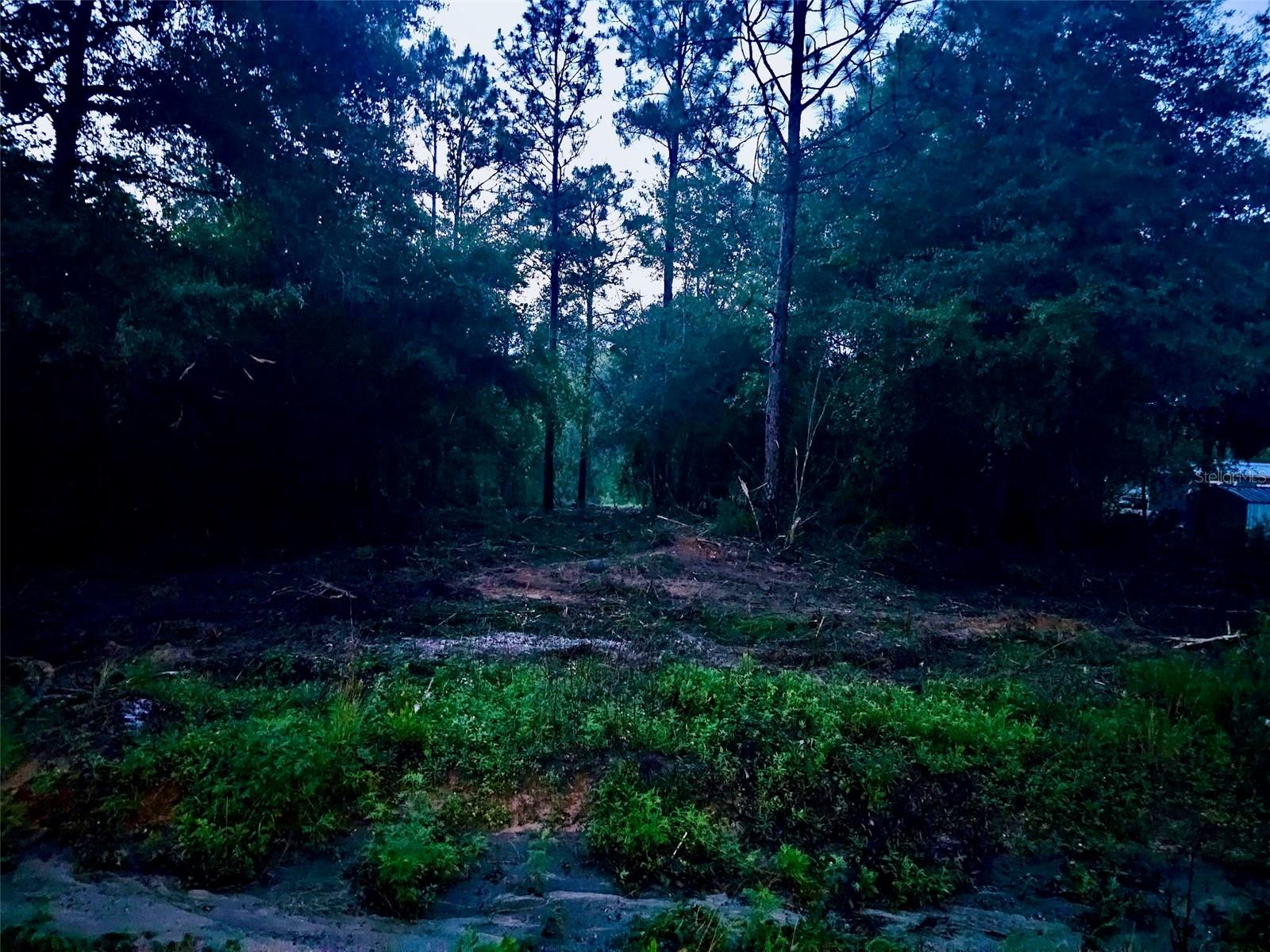 PINETREE LN, DEFUNIAK SPRINGS, FL, 32433