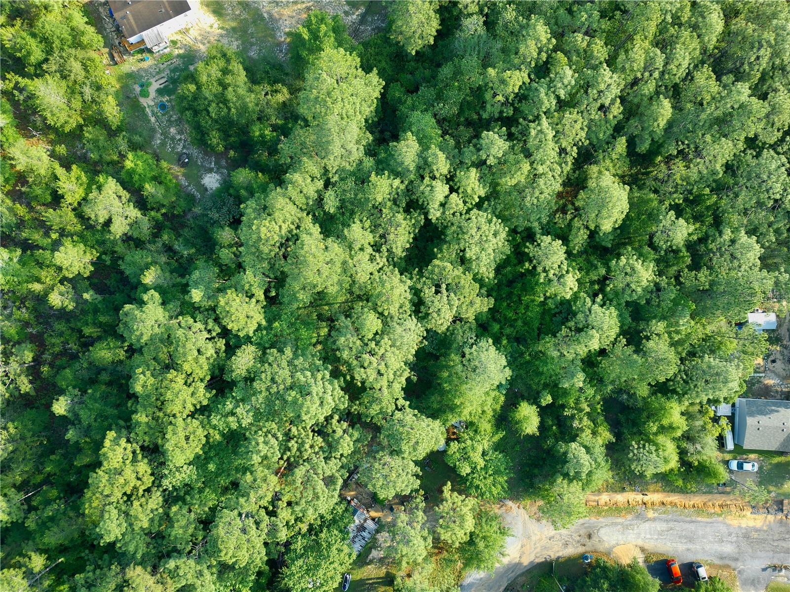 PINETREE LN, DEFUNIAK SPRINGS, FL, 32433