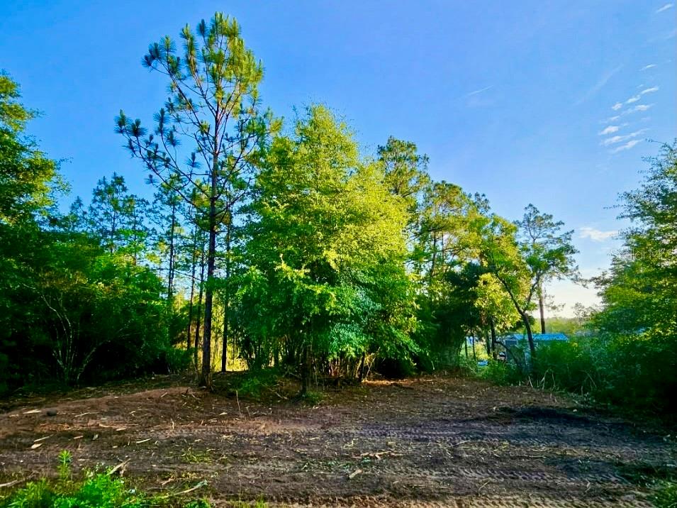 PINETREE LN, DEFUNIAK SPRINGS, FL, 32433