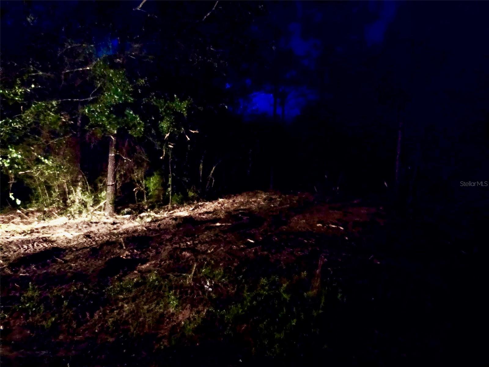 PINETREE LN, DEFUNIAK SPRINGS, FL, 32433