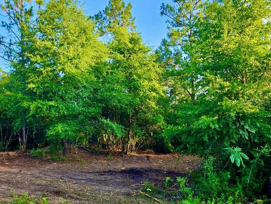 PINETREE LN, DEFUNIAK SPRINGS, FL, 32433