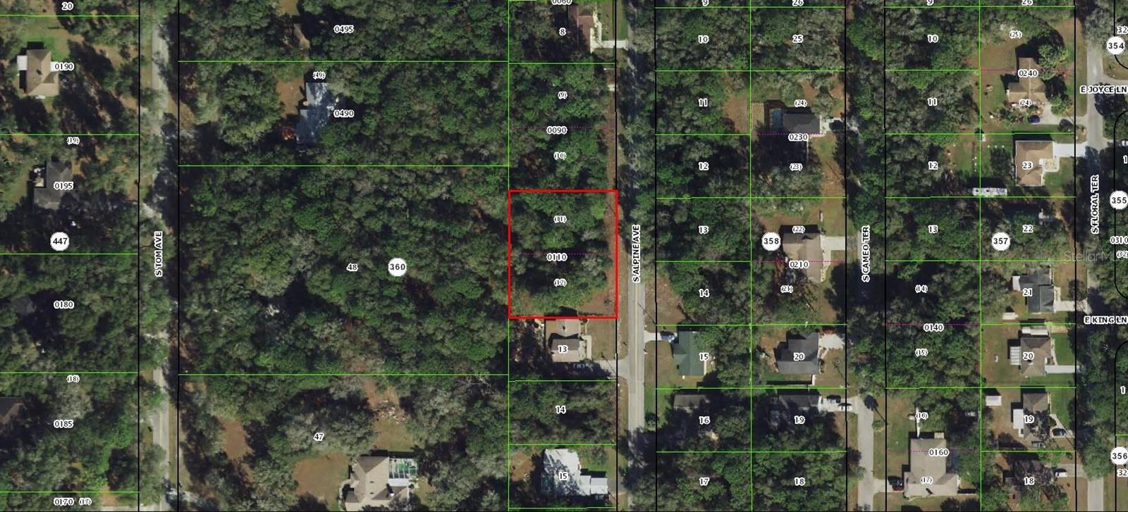 4024 S ALPINE AVE, INVERNESS, FL, 34452