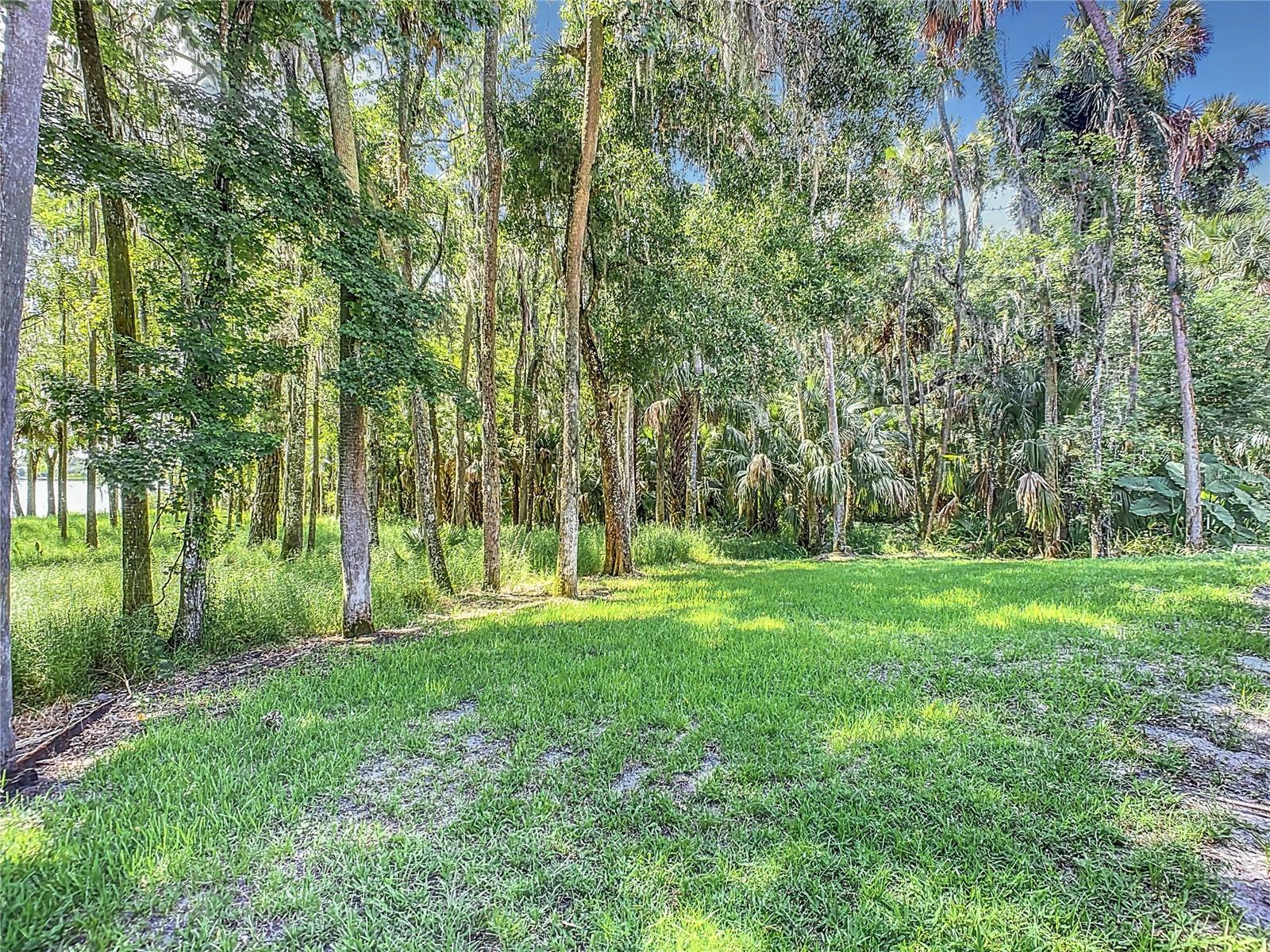 1299 S STATE ROUTE 415, NEW SMYRNA BEACH, FL, 32168