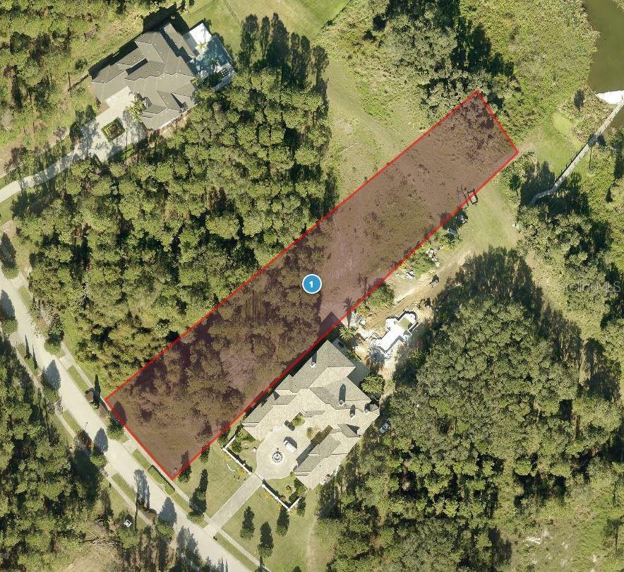 15629 PENDIO DR, BELLA COLLINA, FL, 34756
