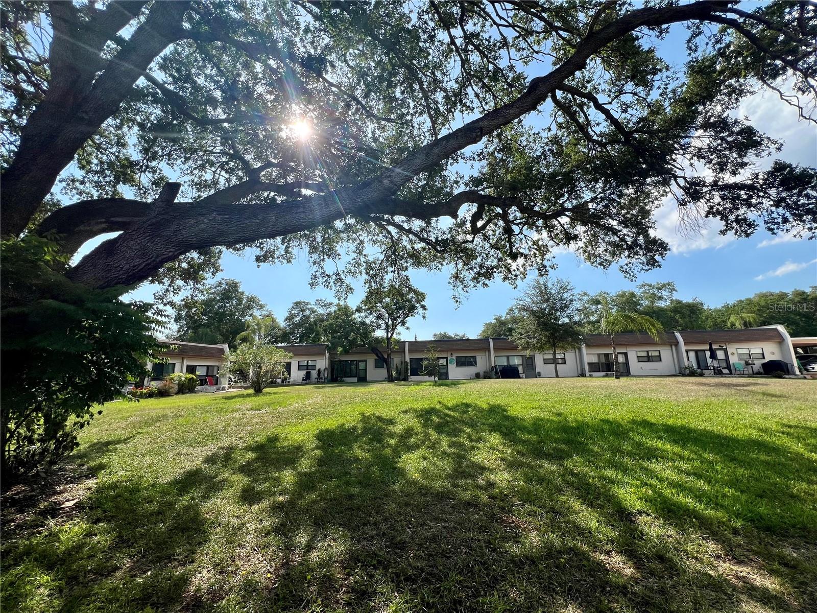 1280 MISSION CIR #45C, CLEARWATER, FL, 33759