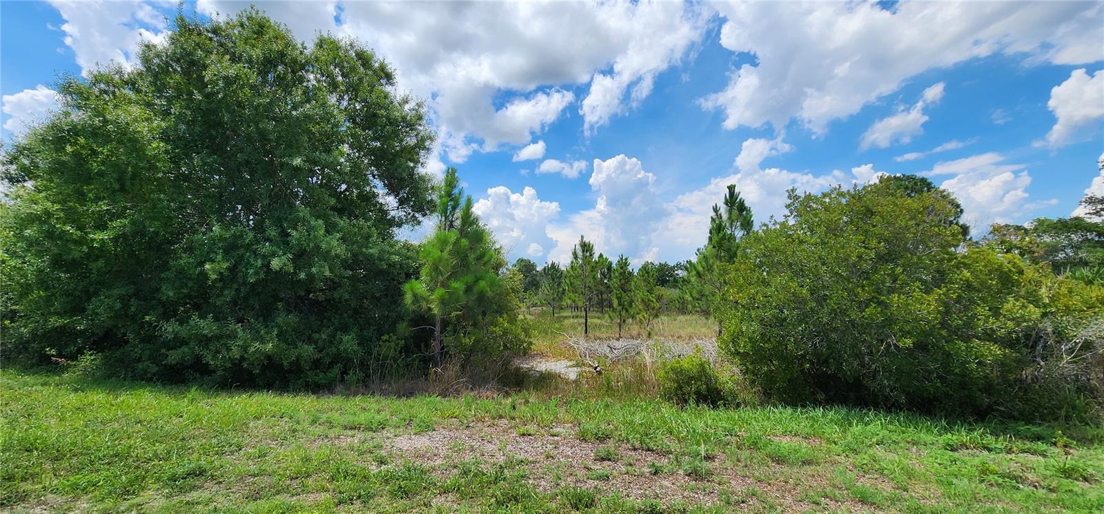 2704 W STARR RD, AVON PARK, FL, 33825