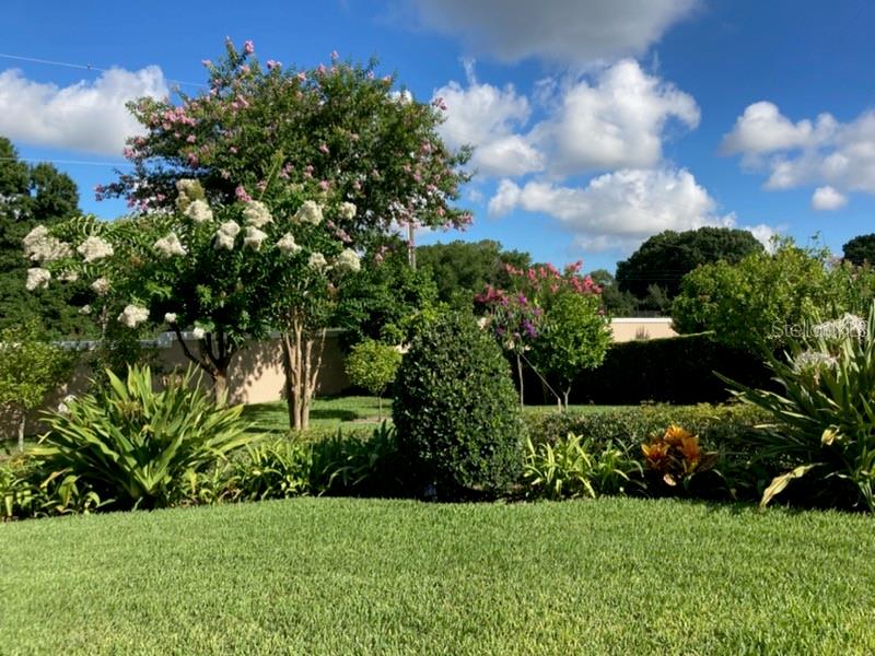 3036 SEIGNEURY DR, WINDERMERE, FL, 34786