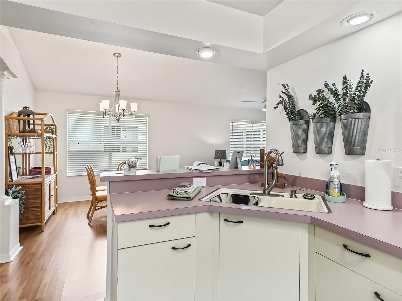 1405 W SCHWARTZ BLVD, THE VILLAGES, FL, 32159