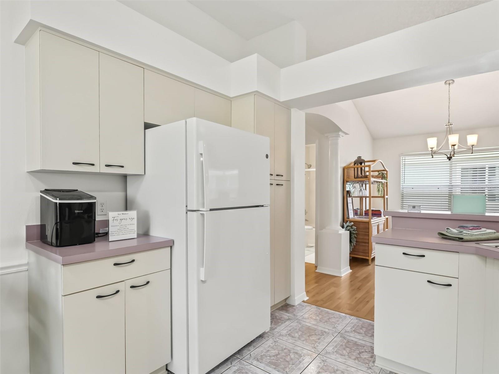 1405 W SCHWARTZ BLVD, THE VILLAGES, FL, 32159