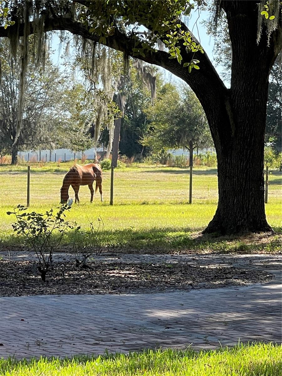 969 DEMING DR, WINTER HAVEN, FL, 33880