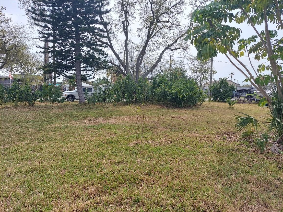 6815 PUFFIN LN, HUDSON, FL, 34667