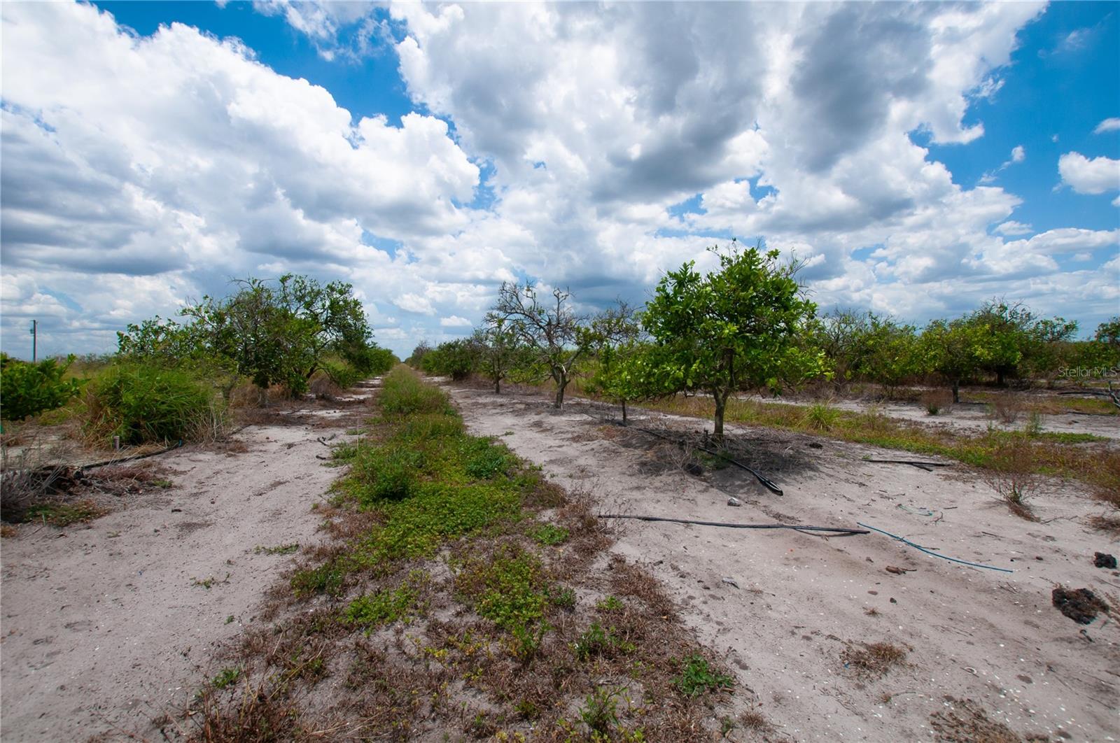 28ABCD GRAHAM/NEAL ROAD, PUNTA GORDA, FL, 33982