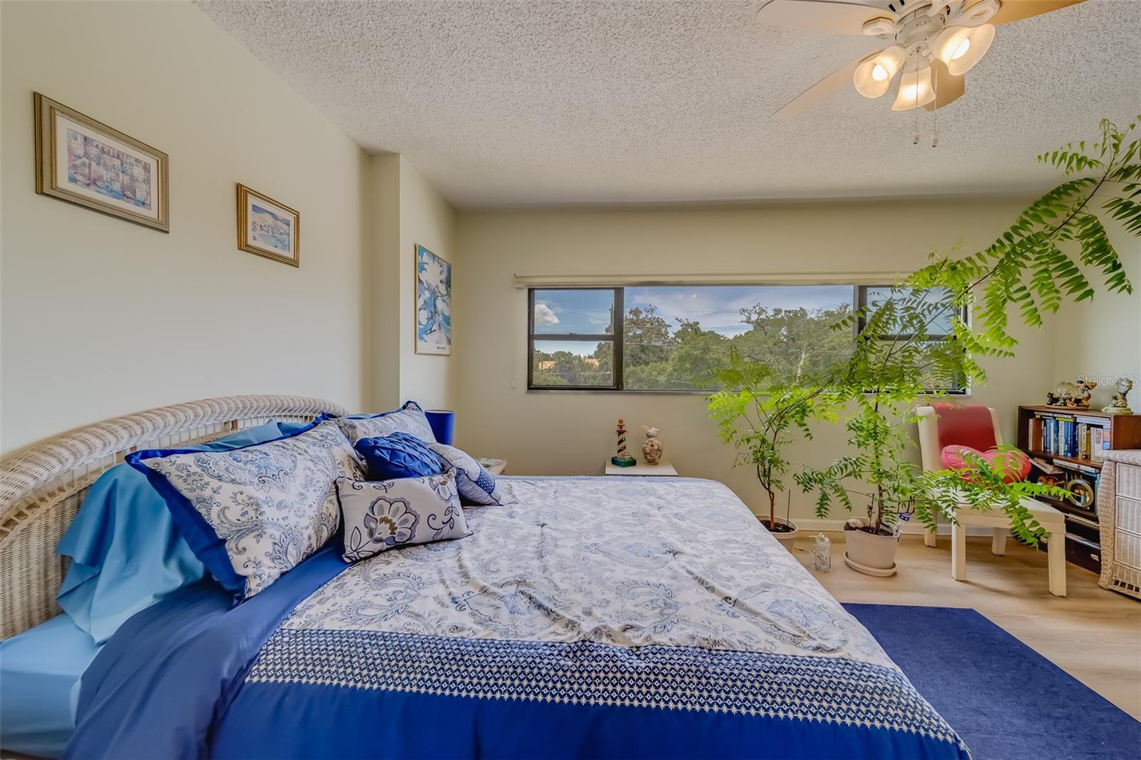 30 TURNER ST #304, CLEARWATER, FL, 33756