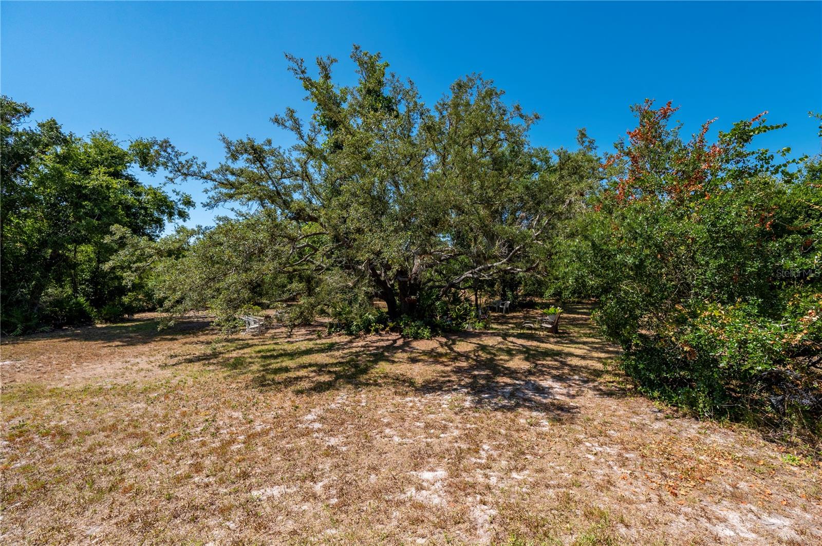 8929 SW LIVERPOOL RD, ARCADIA, FL, 34269