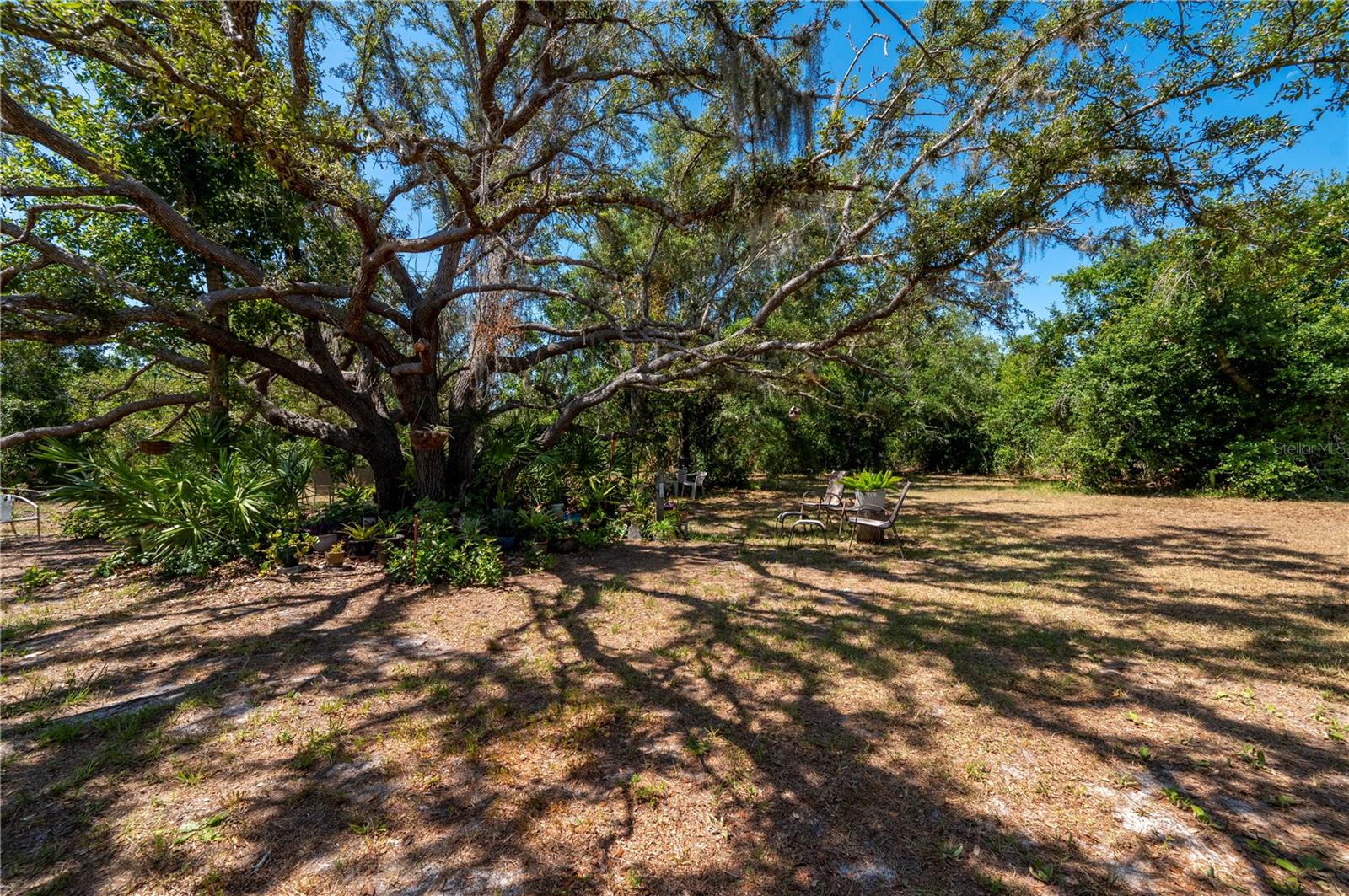 8929 SW LIVERPOOL RD, ARCADIA, FL, 34269