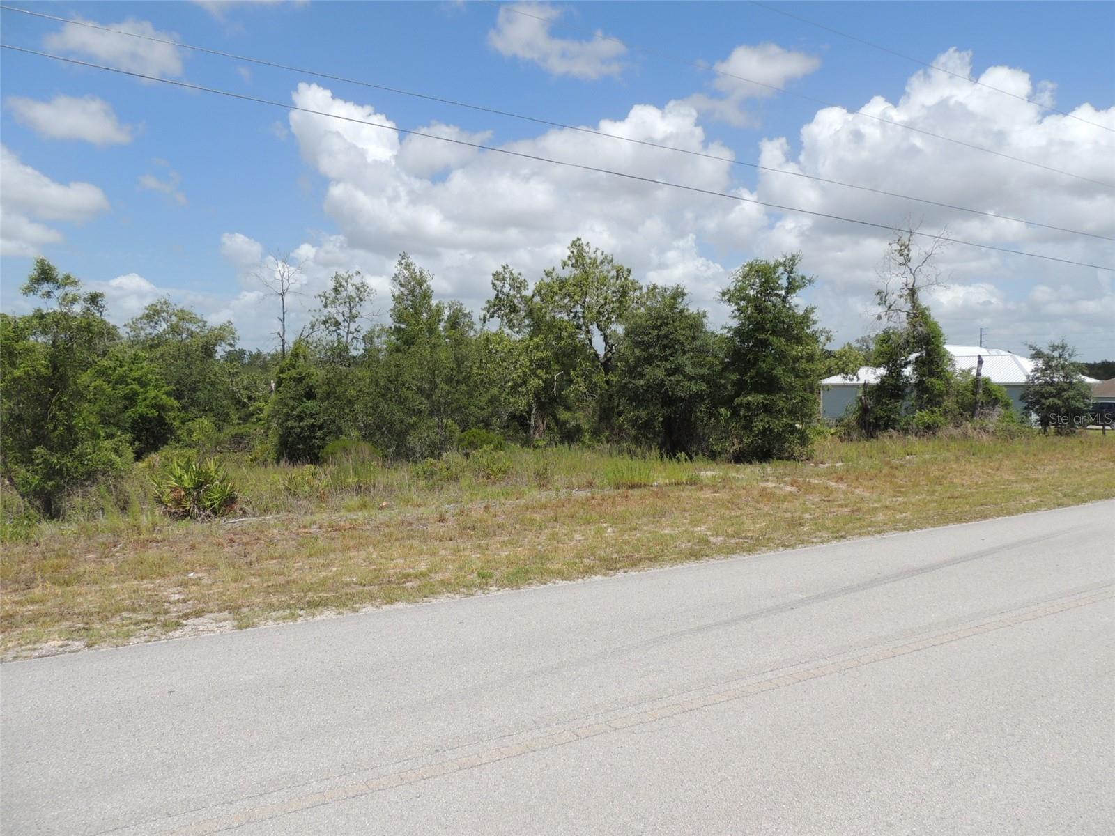 13591 NE 51ST LN, WILLISTON, FL, 32696