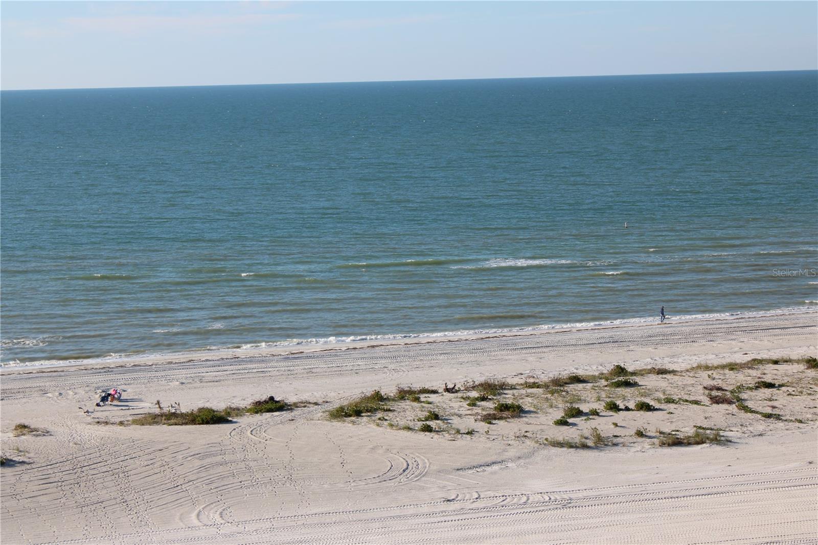 1290 GULF BLVD #1006, CLEARWATER BEACH, FL, 33767
