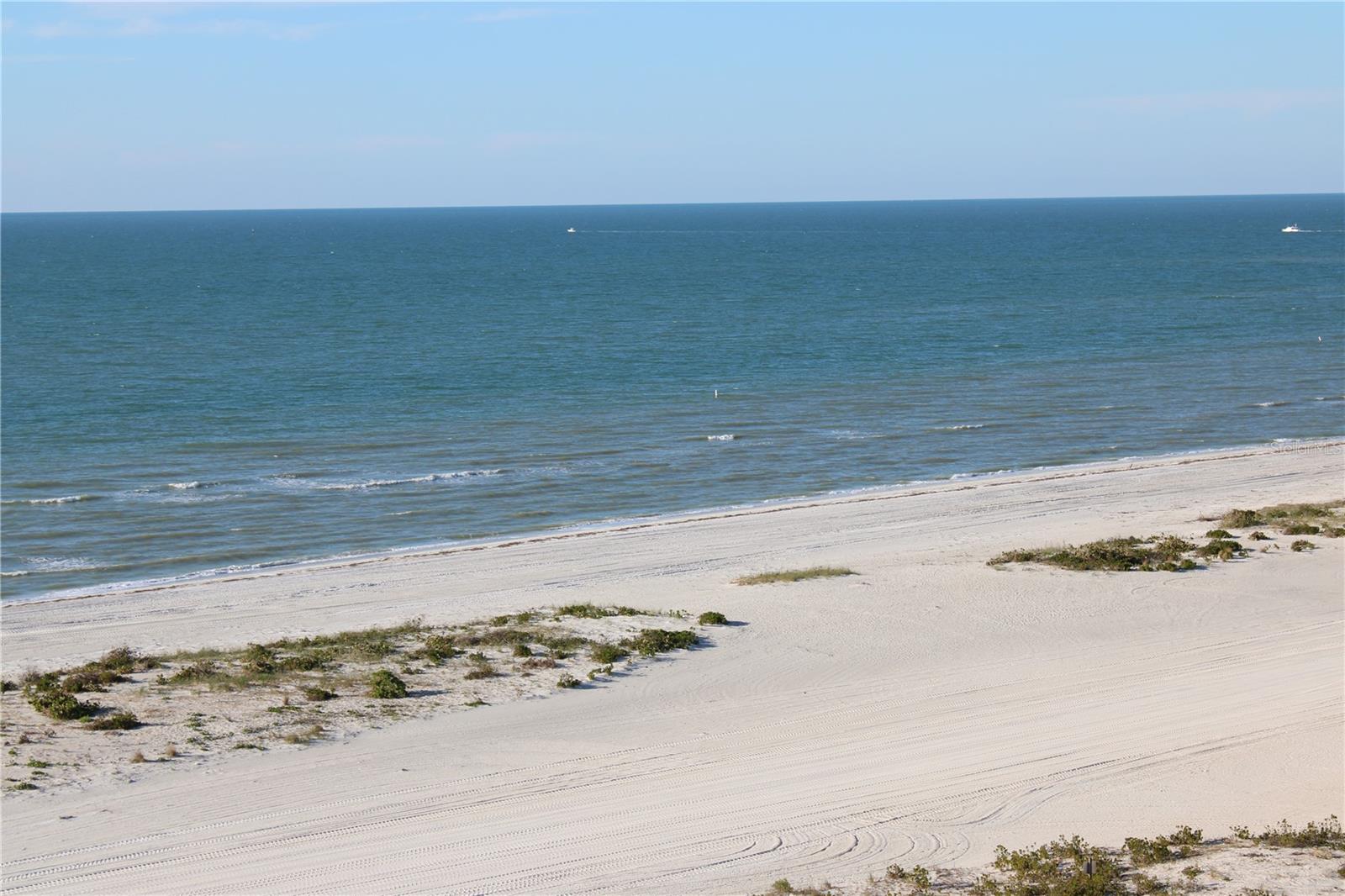 1290 GULF BLVD #1006, CLEARWATER BEACH, FL, 33767
