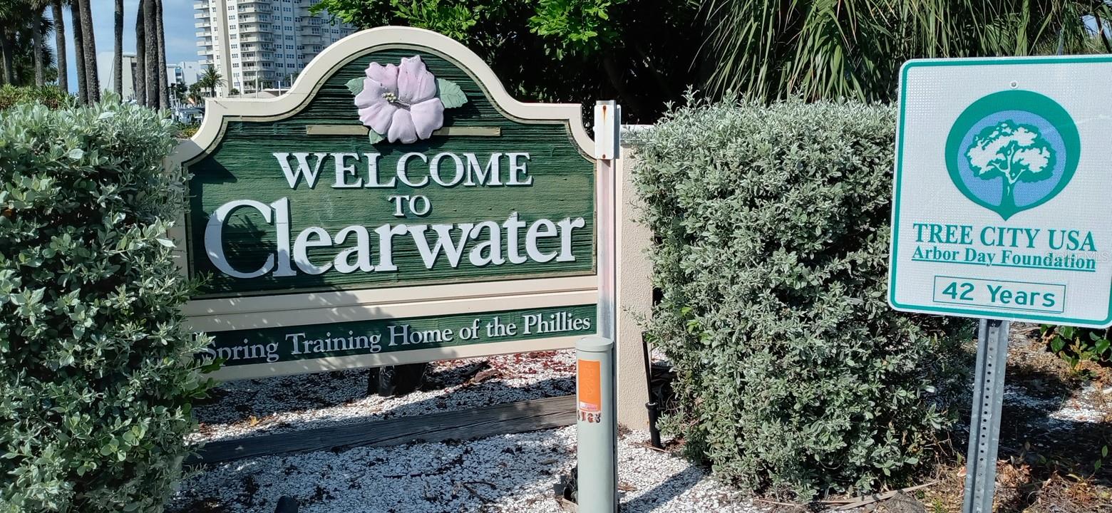 1290 GULF BLVD #1006, CLEARWATER BEACH, FL, 33767