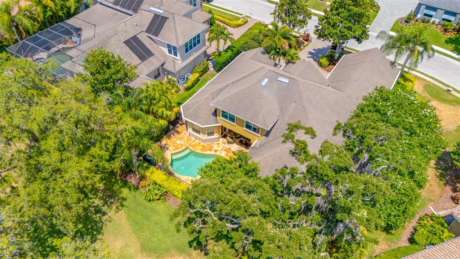 1227 TOSCANO DR, TRINITY, FL, 34655