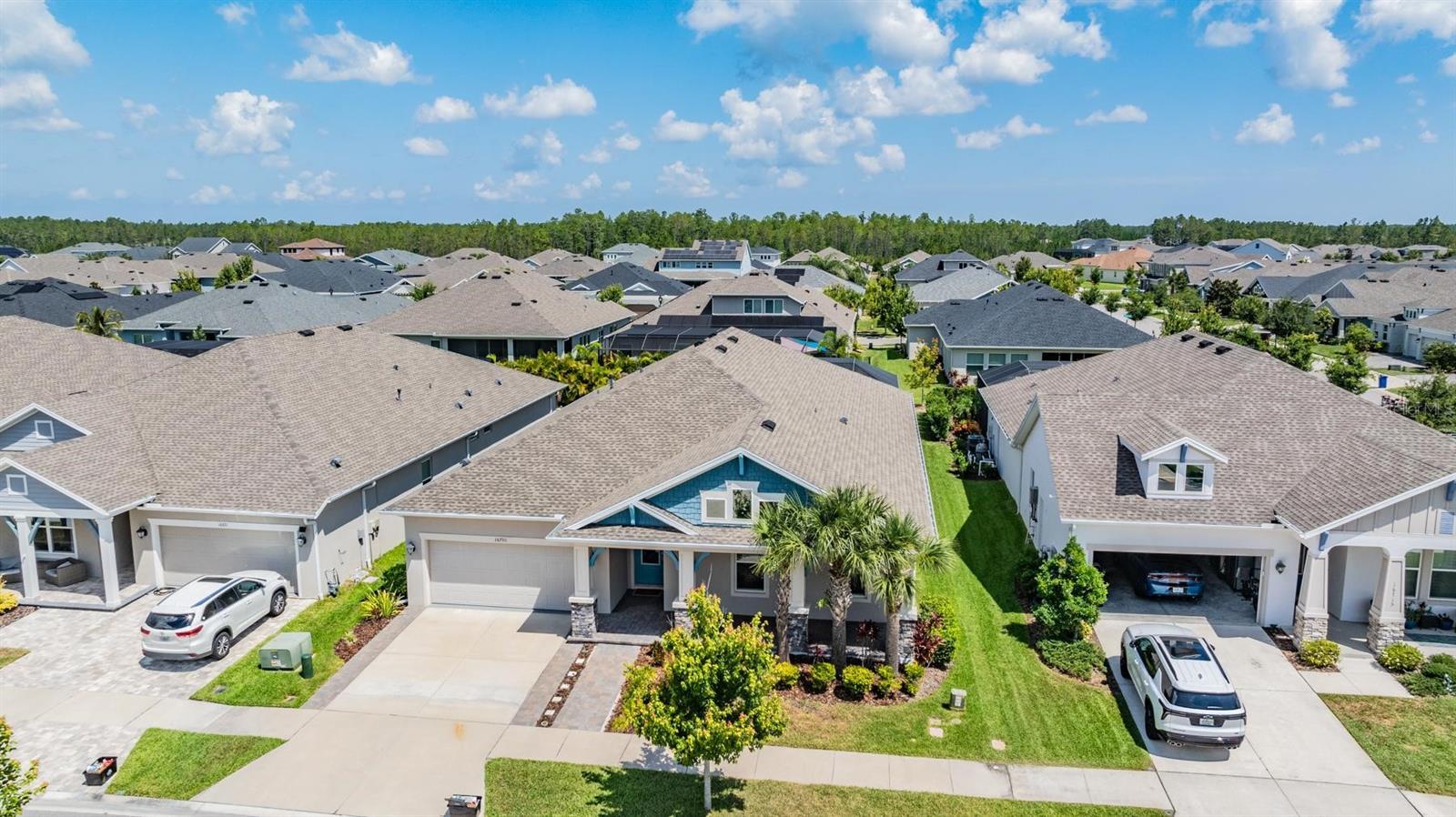 16701 VIBRATO LN, LAND O LAKES, FL, 34638