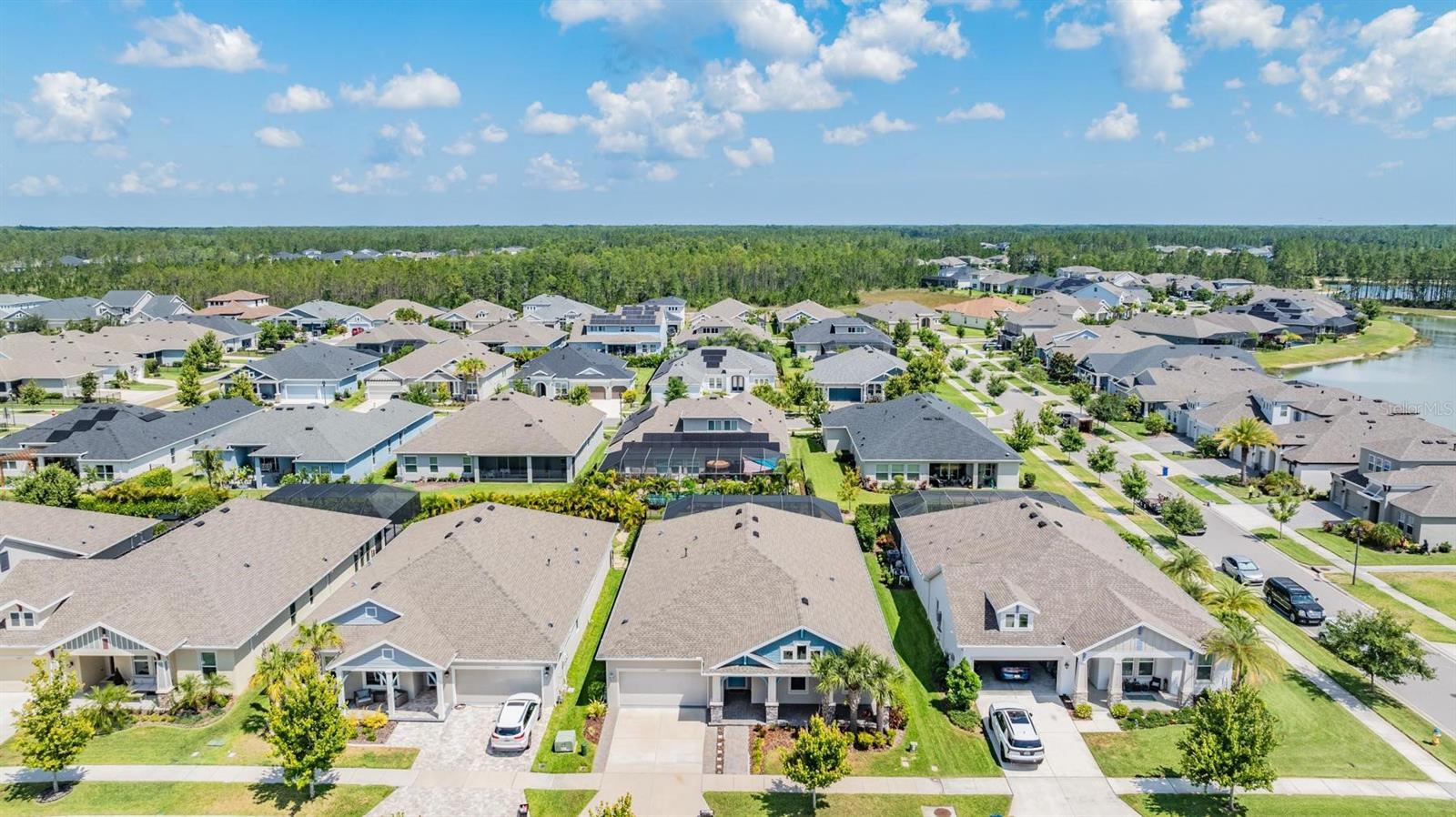 16701 VIBRATO LN, LAND O LAKES, FL, 34638