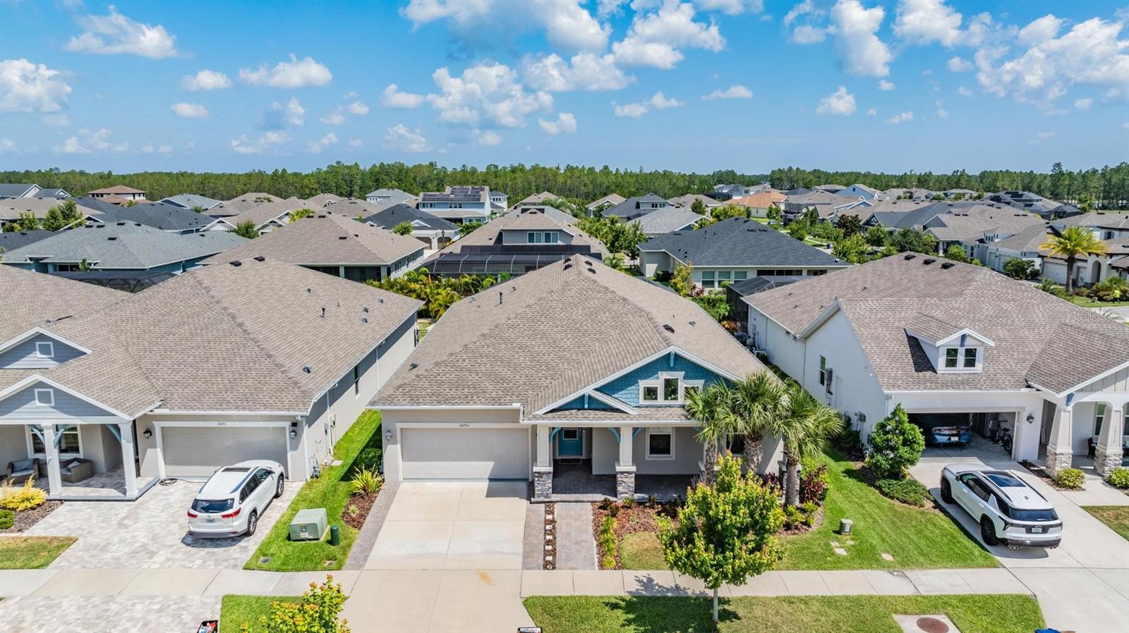 16701 VIBRATO LN, LAND O LAKES, FL, 34638