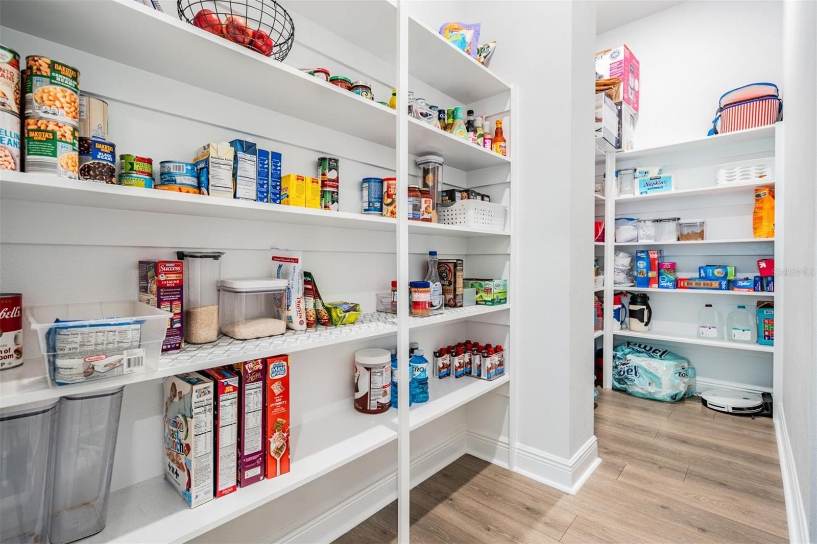 16701 VIBRATO LN, LAND O LAKES, FL, 34638