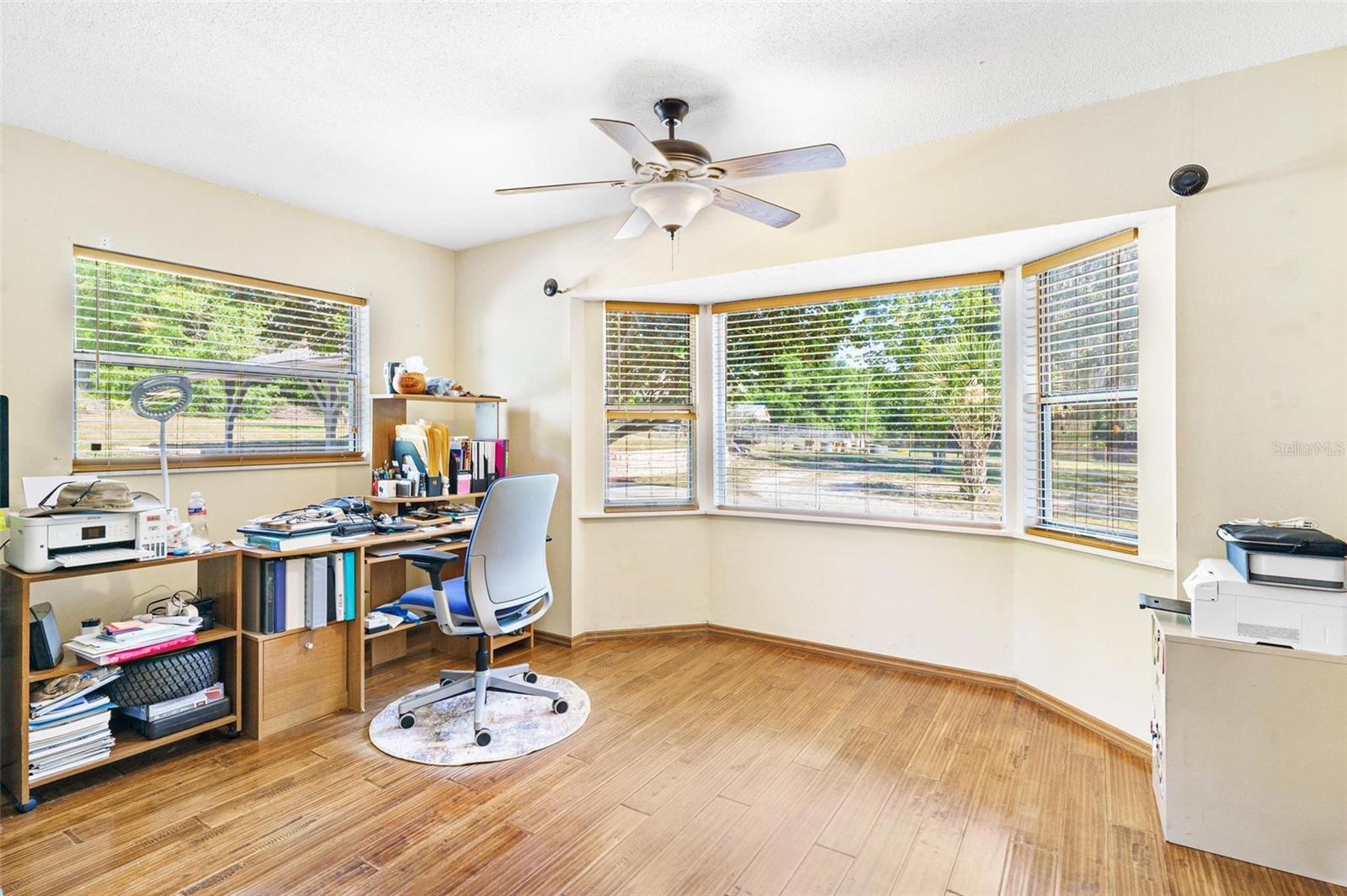 4242 GRIFFIN VIEW DR, LADY LAKE, FL, 32159
