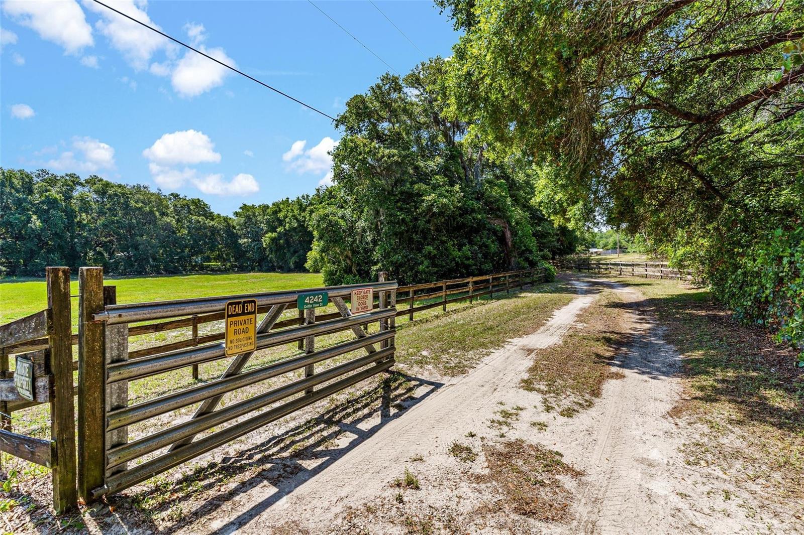 4242 GRIFFIN VIEW DR, LADY LAKE, FL, 32159