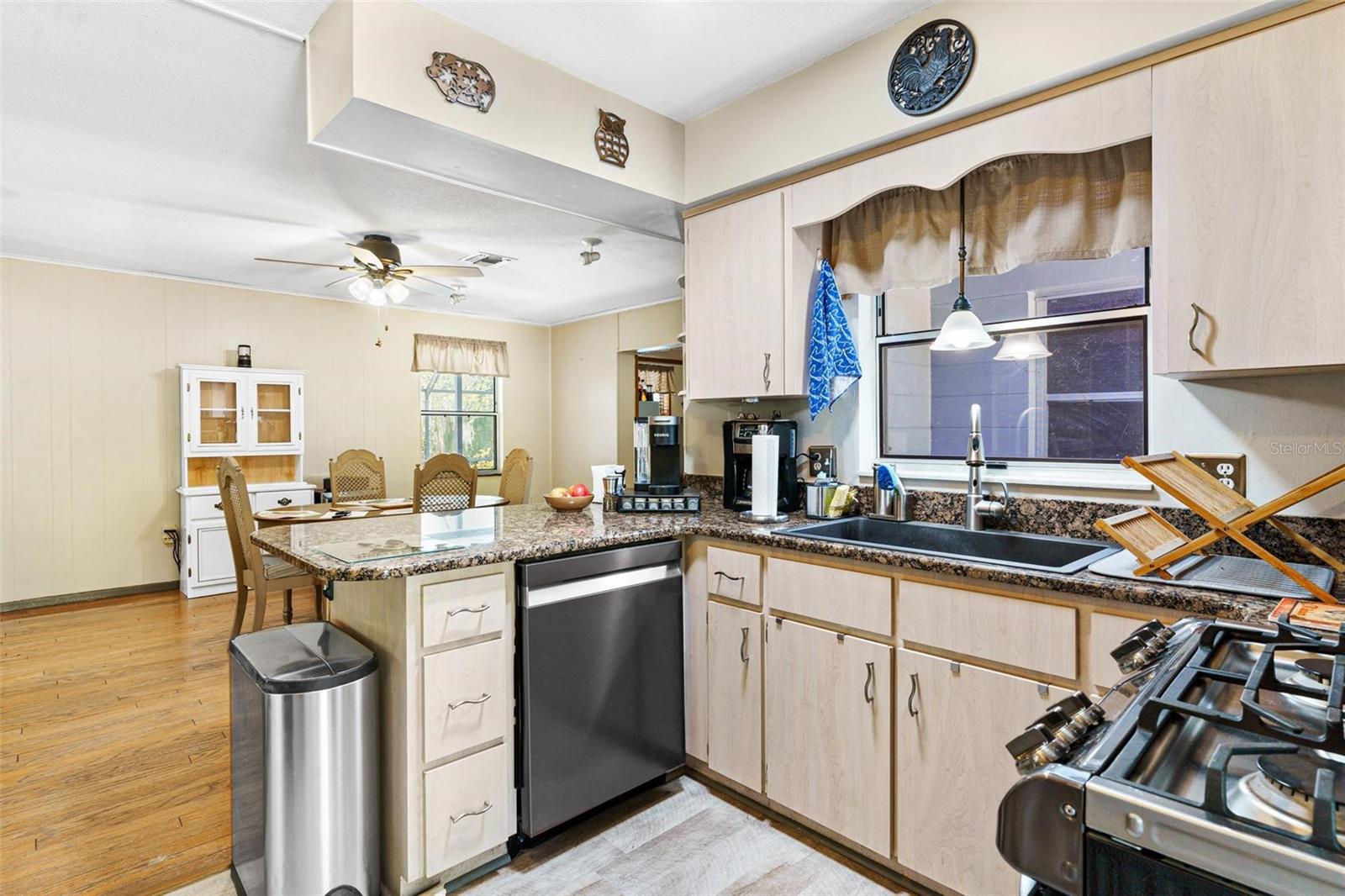4242 GRIFFIN VIEW DR, LADY LAKE, FL, 32159