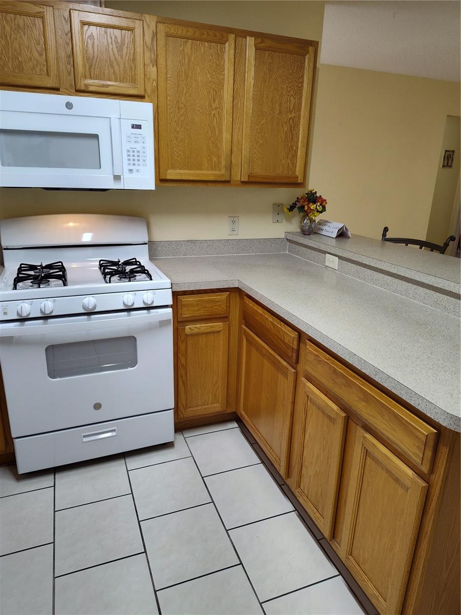9215 SE 177TH SIMONS LN, THE VILLAGES, FL, 32162