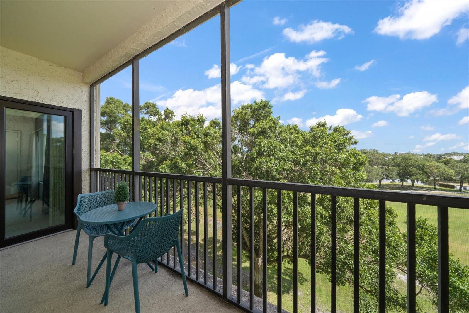 700 STARKEY RD #344, LARGO, FL, 33771