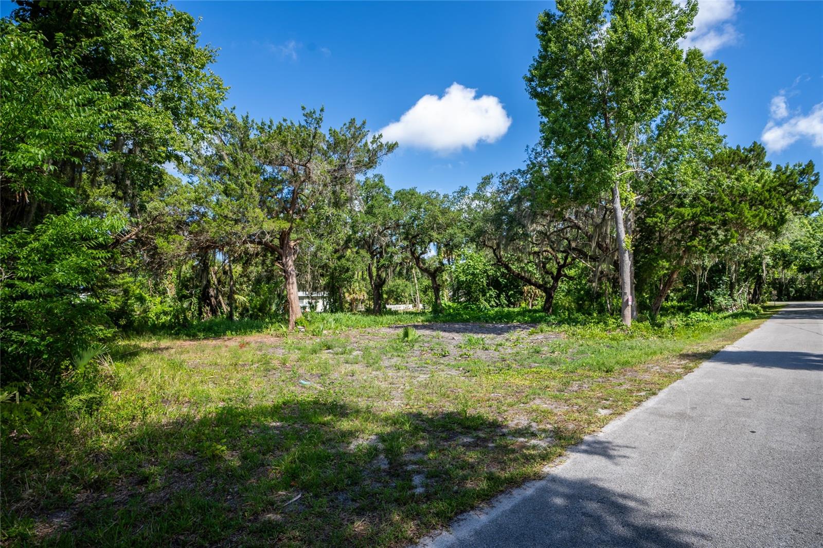 316 CEDAR AVE, OAK HILL, FL, 32759