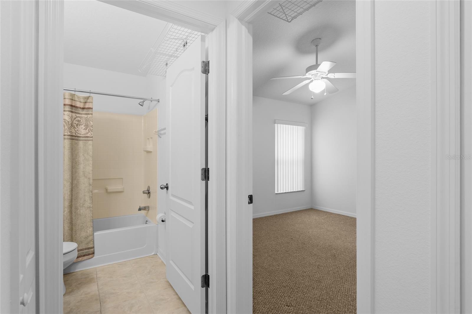 4316 OLD WAVERLY CT, WESLEY CHAPEL, FL, 33543