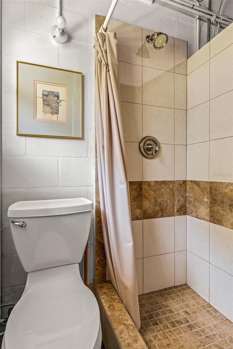 188 E CANAL DR, PALM HARBOR, FL, 34684
