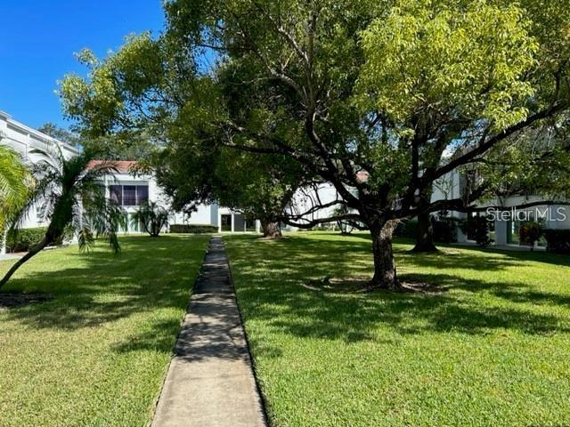 2060 MARILYN ST #124, CLEARWATER, FL, 33765
