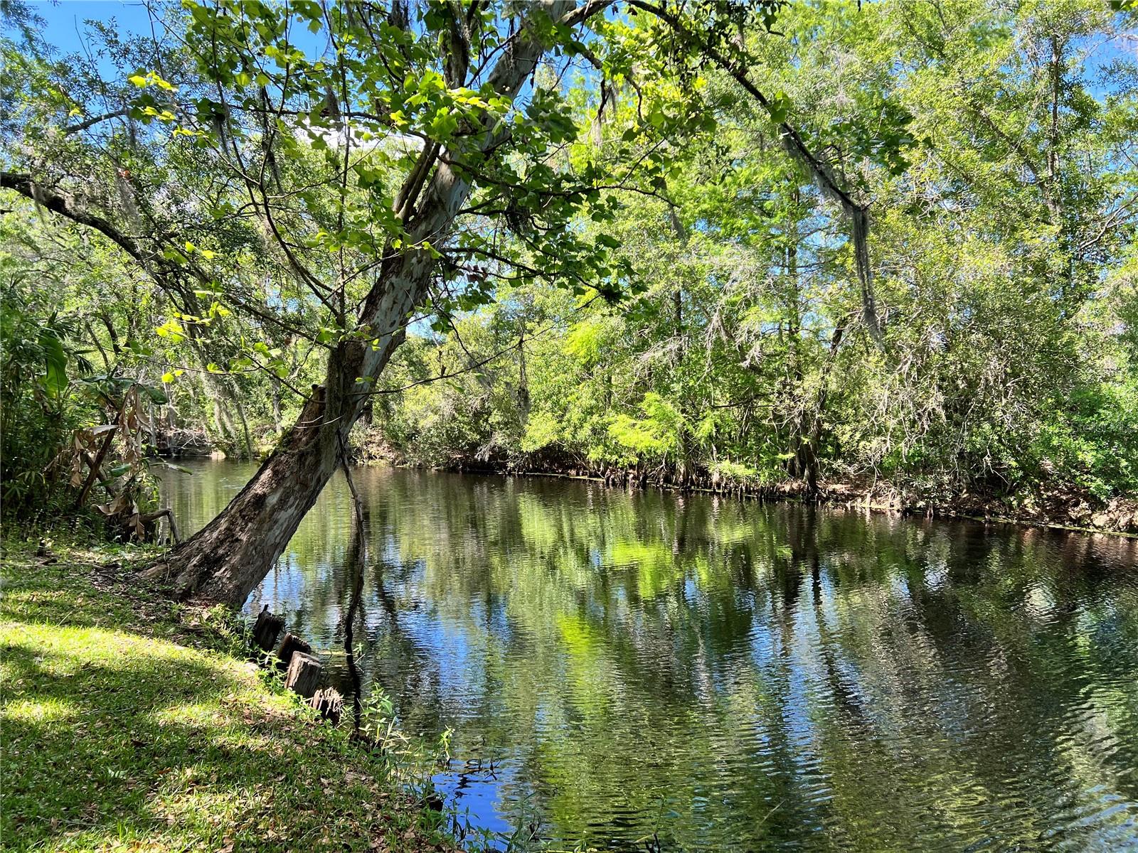 6725 S WHIPPOORWILL CIR, FLORAL CITY, FL, 34436