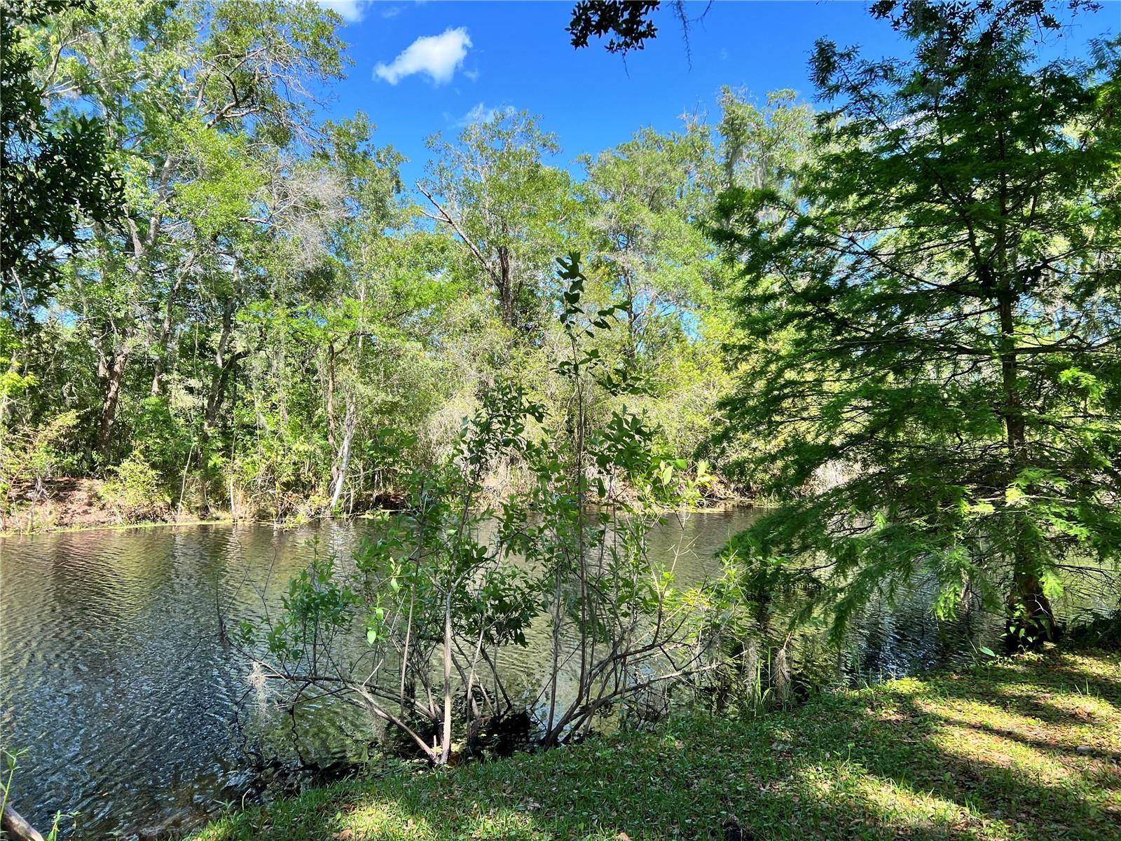 6725 S WHIPPOORWILL CIR, FLORAL CITY, FL, 34436