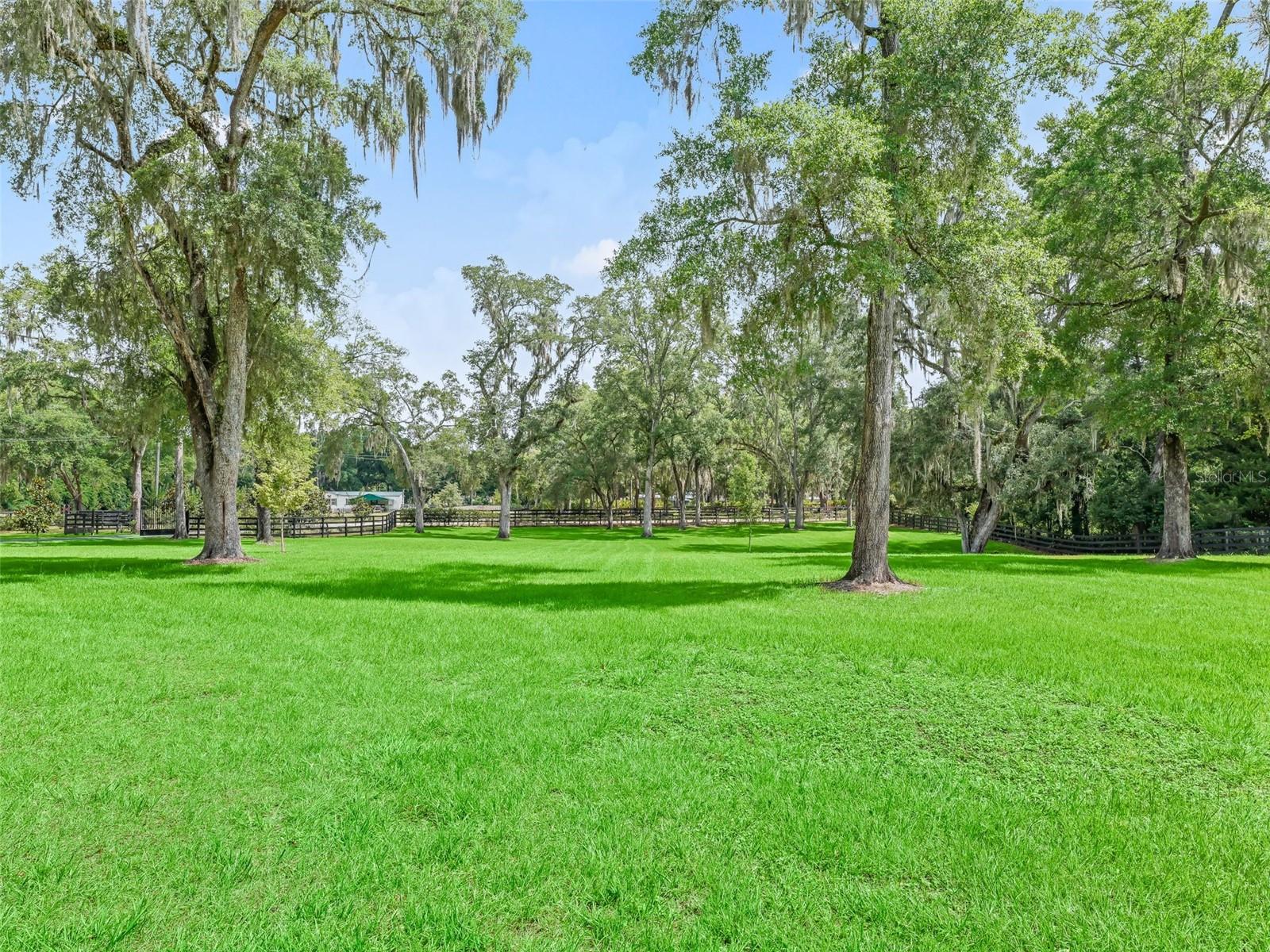 8260 SW 41 PLACE RD, OCALA, FL, 34481