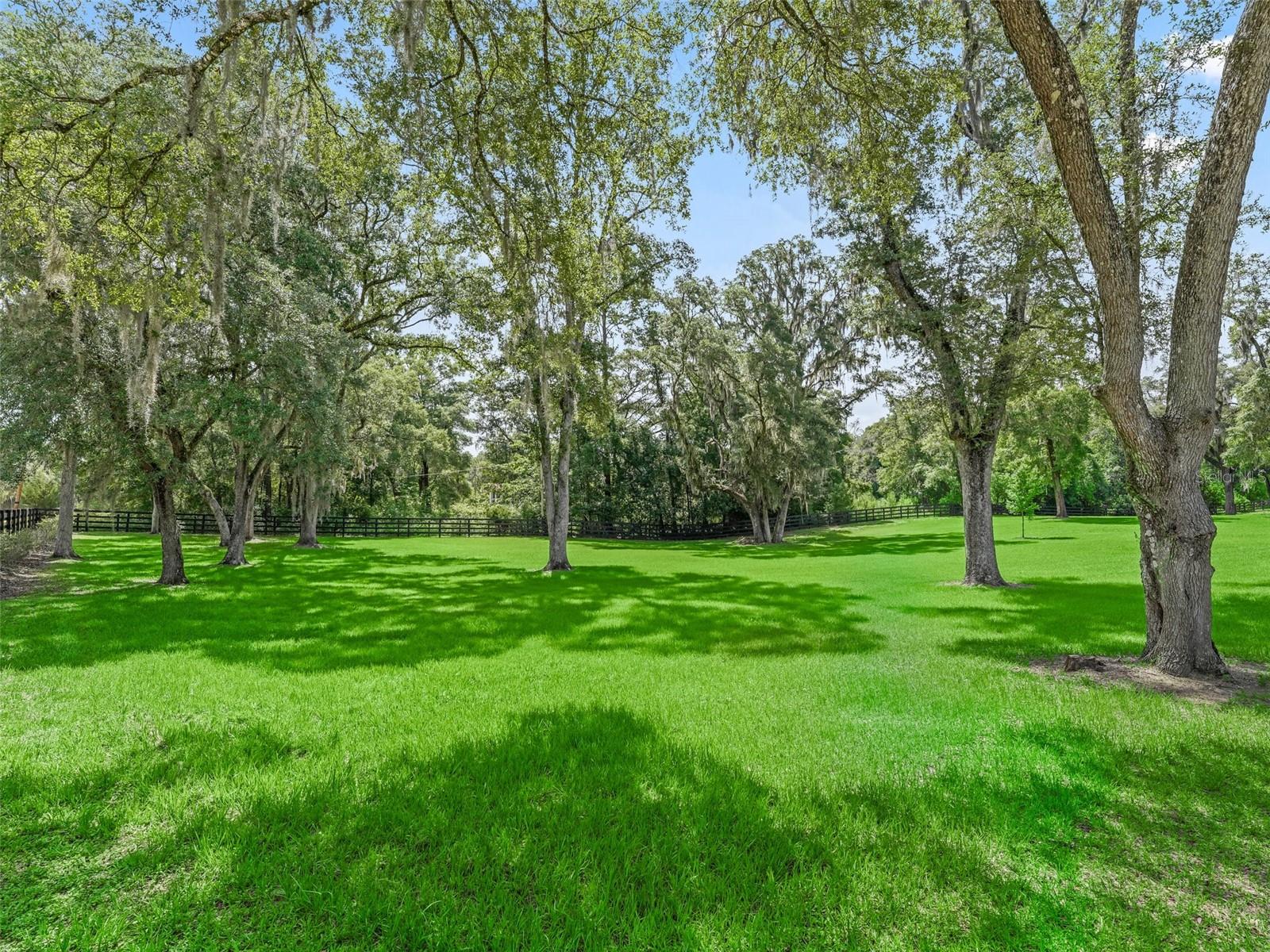 8260 SW 41 PLACE RD, OCALA, FL, 34481
