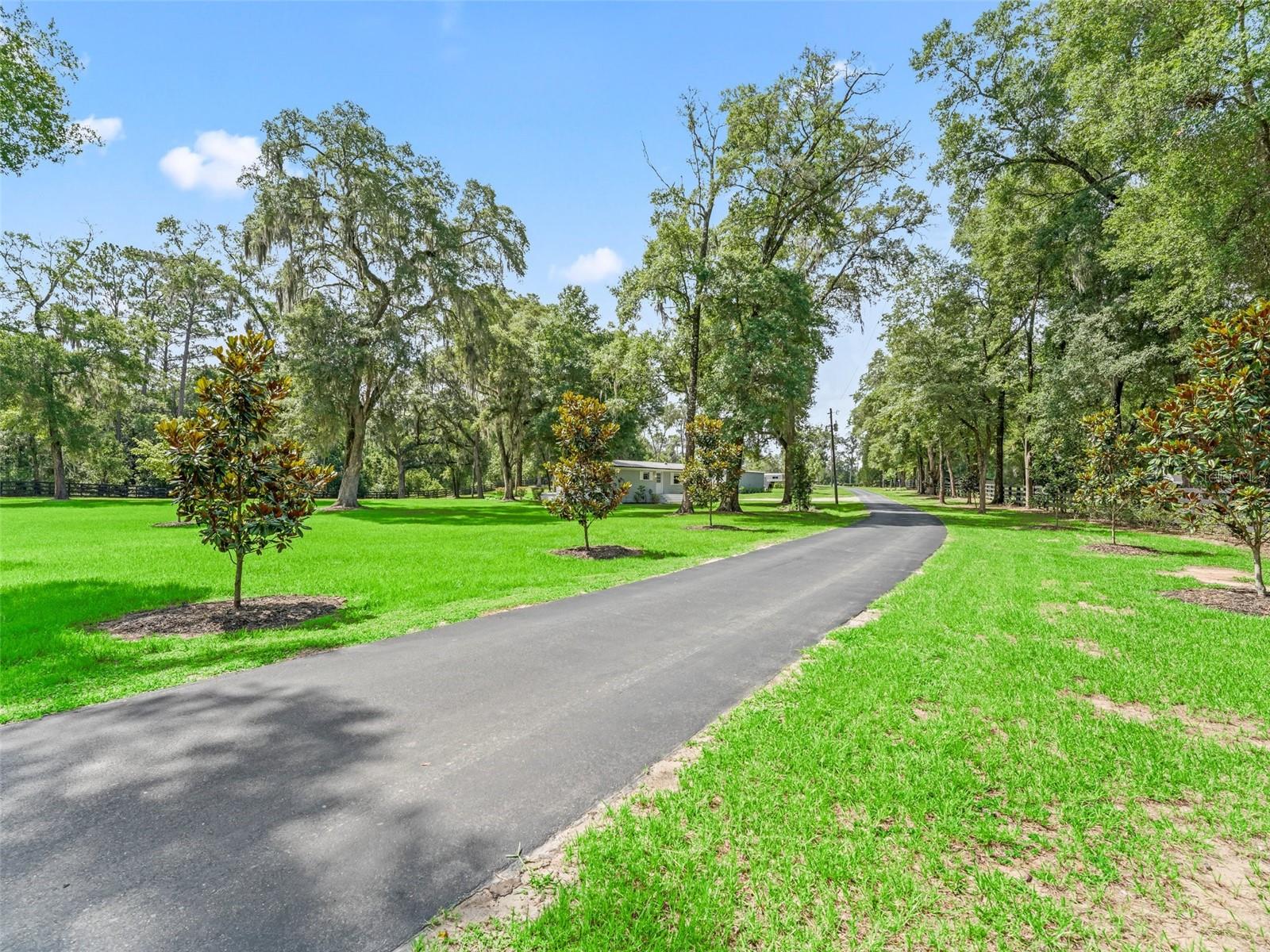8260 SW 41 PLACE RD, OCALA, FL, 34481