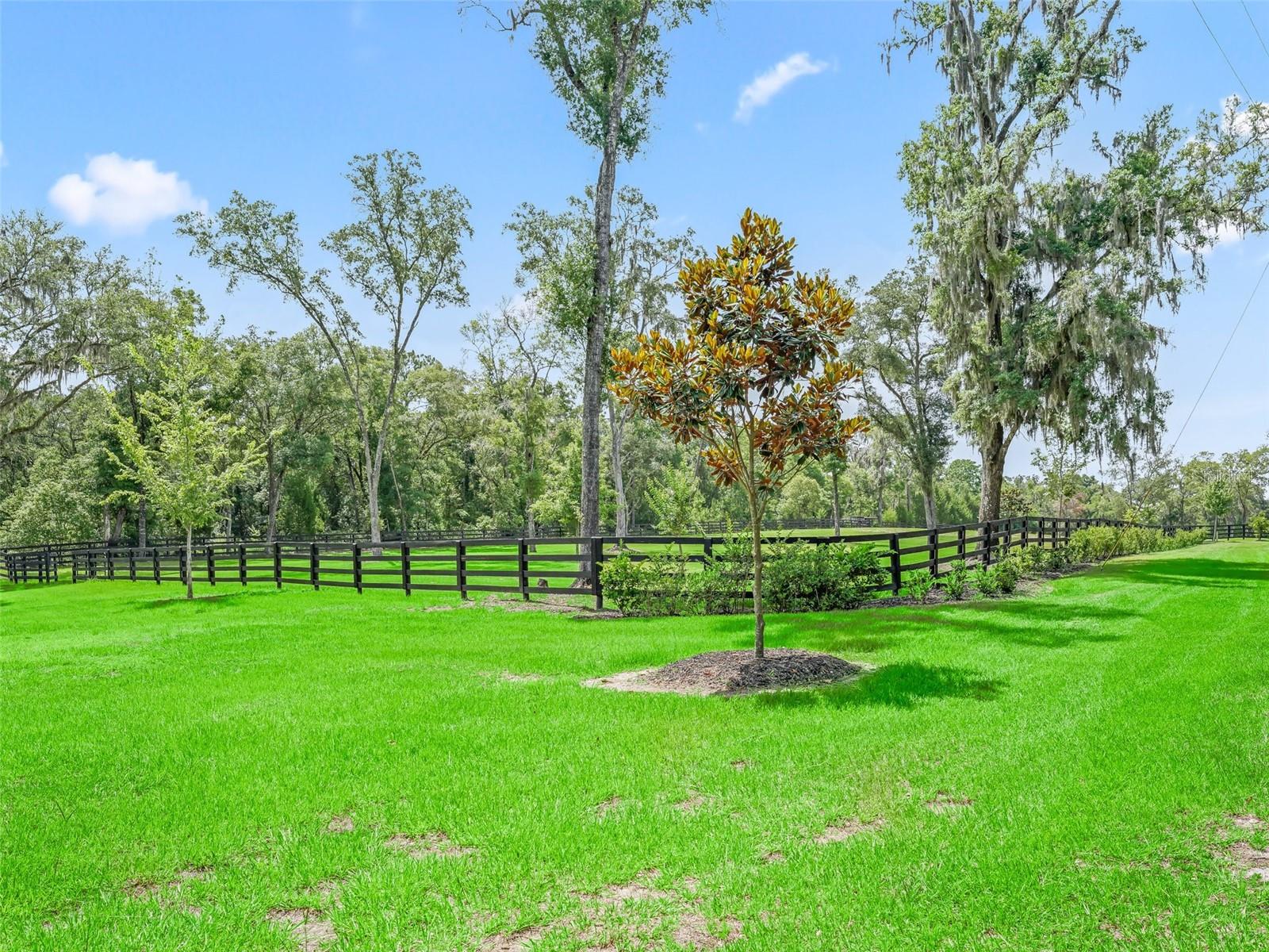 8260 SW 41 PLACE RD, OCALA, FL, 34481