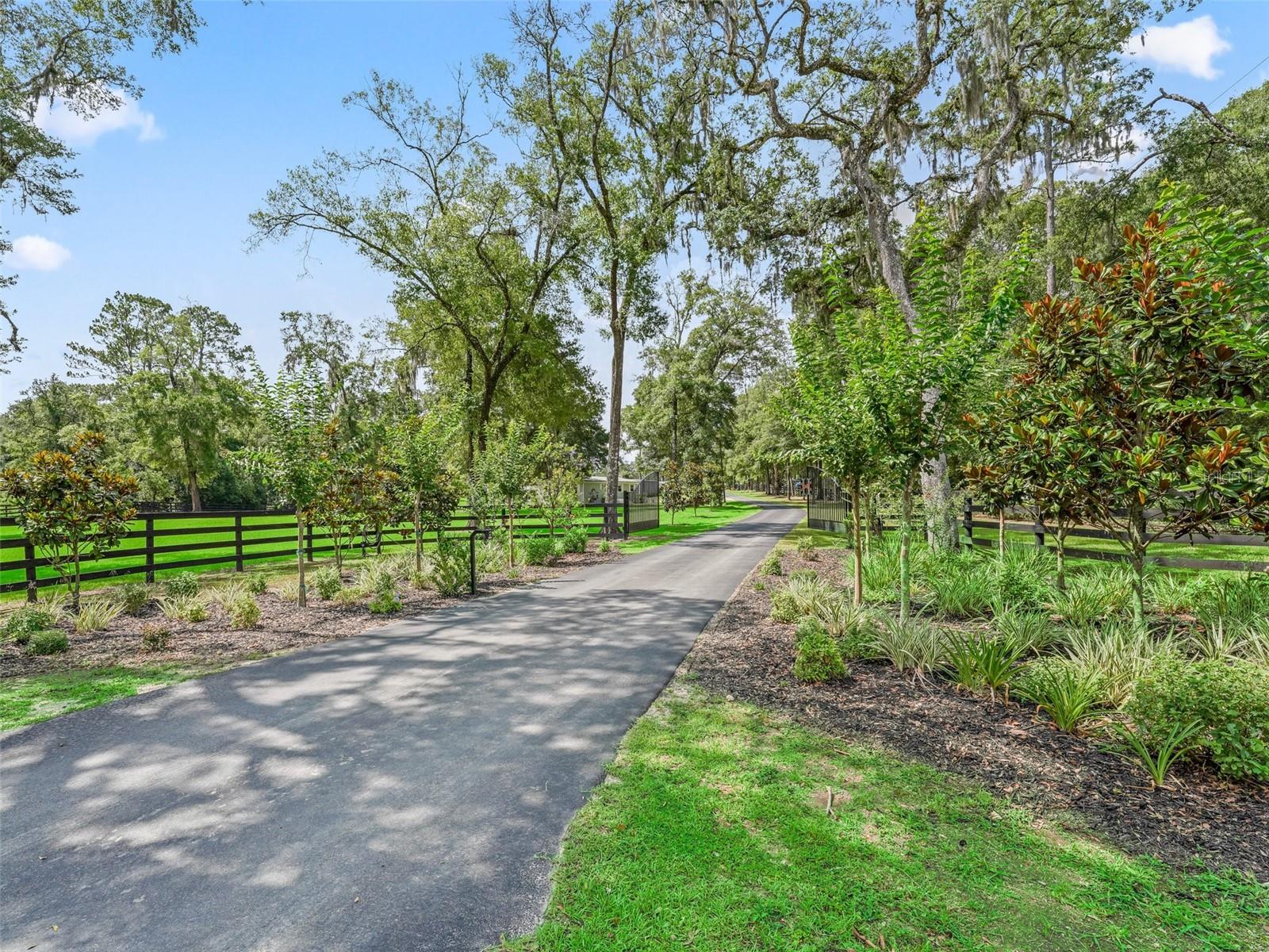 8260 SW 41 PLACE RD, OCALA, FL, 34481
