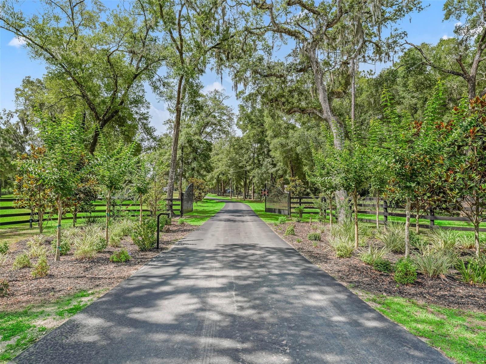 8260 SW 41 PLACE RD, OCALA, FL, 34481