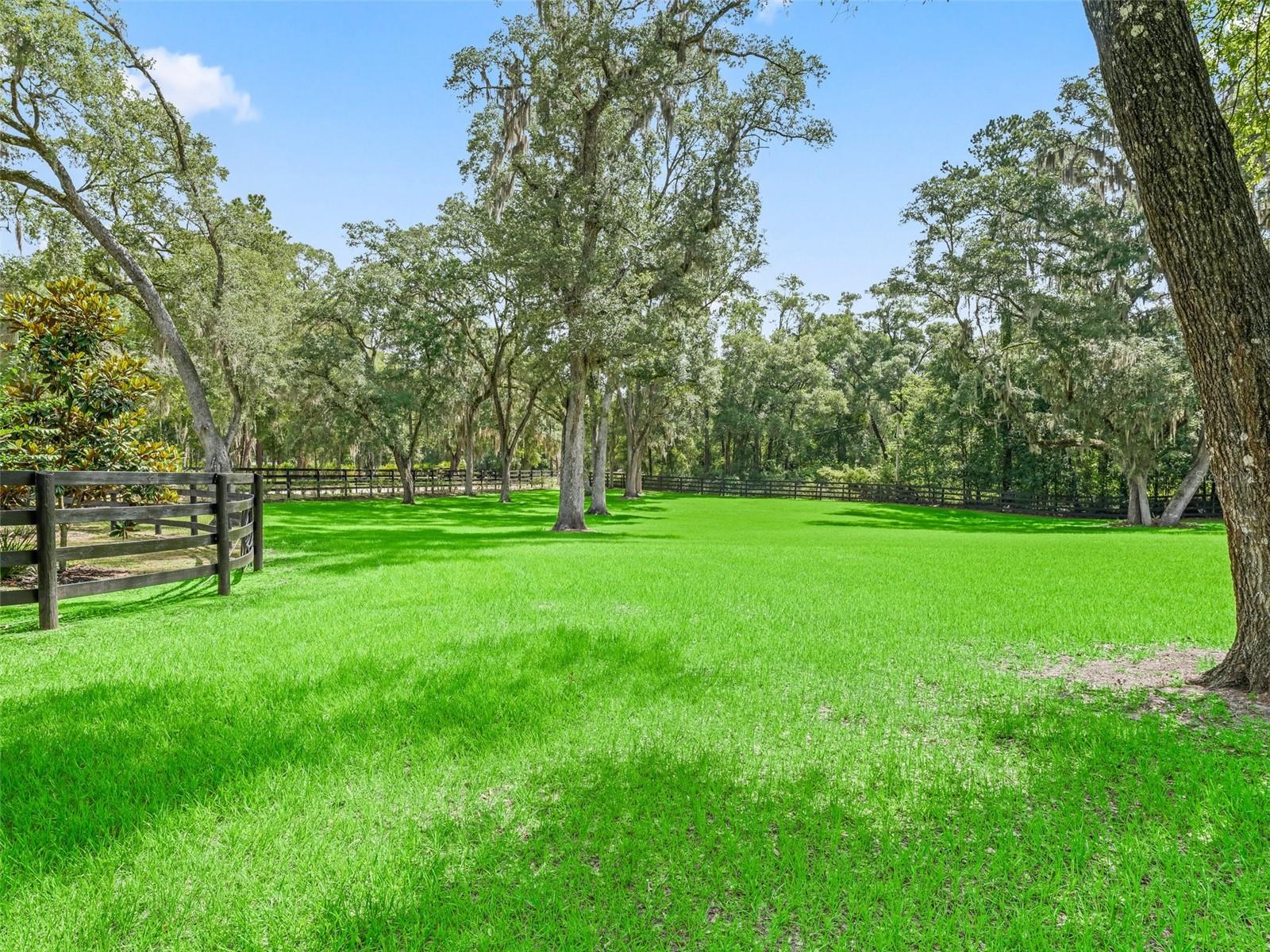 8260 SW 41 PLACE RD, OCALA, FL, 34481